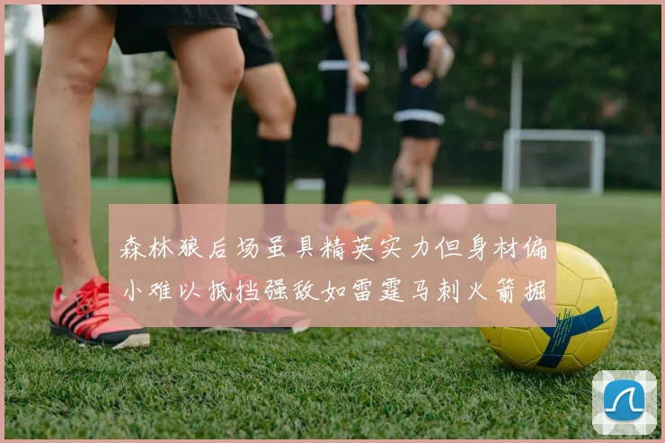森林狼后场虽具精英实力但身材偏小难以抵挡强敌如雷霆马刺火箭掘金
